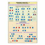 Pedigree Analysis-1
